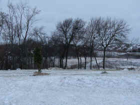 Looking West from the house